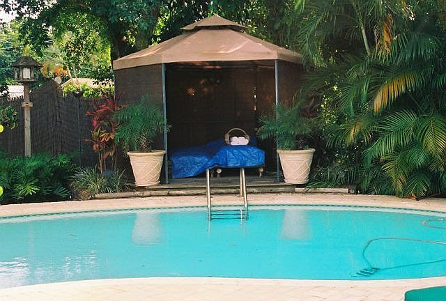 Propical Backyard and Pool