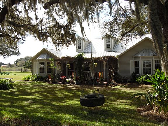 Stately grandfather oaks 

