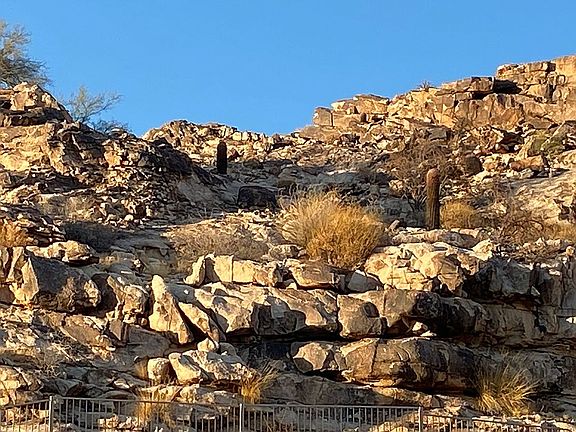 3rd image of 1724 E Cathedral Rock Dr