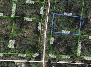 305 Imagination Dr, Lake Placid, FL 33852