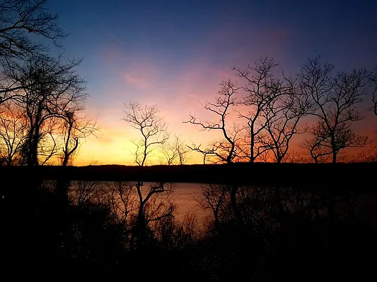 Sold by Compass | media 9