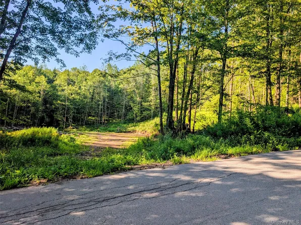 Hurd Road, Swan Lake, NY 12720