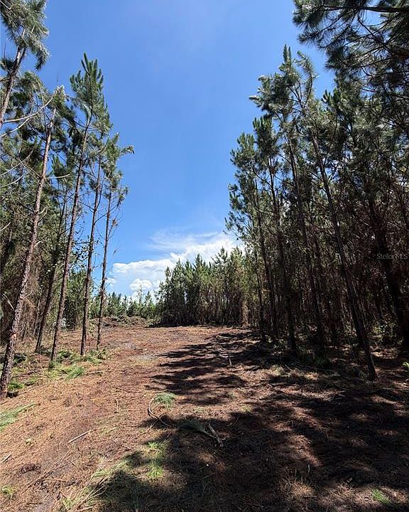 1st image of ARNOLD RHODEN RD LOT 13