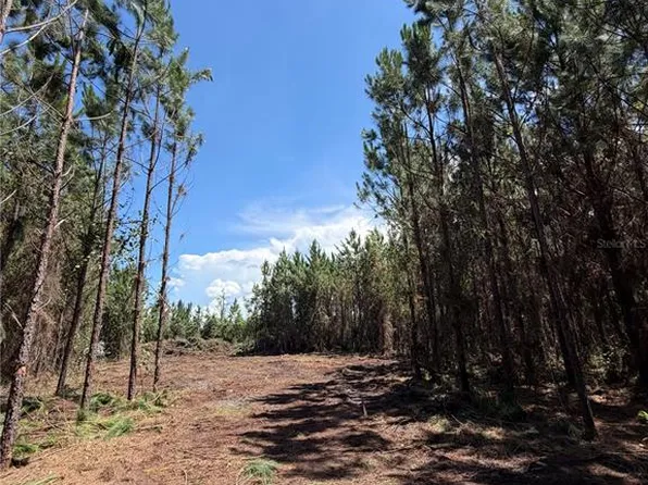 ARNOLD RHODEN RD LOT 13, SANDERSON, FL 32087
