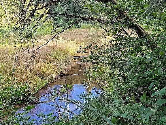 2nd image of SE Gordon Creek Rd