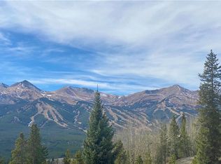 1254 Baldy Rd #2, Breckenridge, CO 80424
