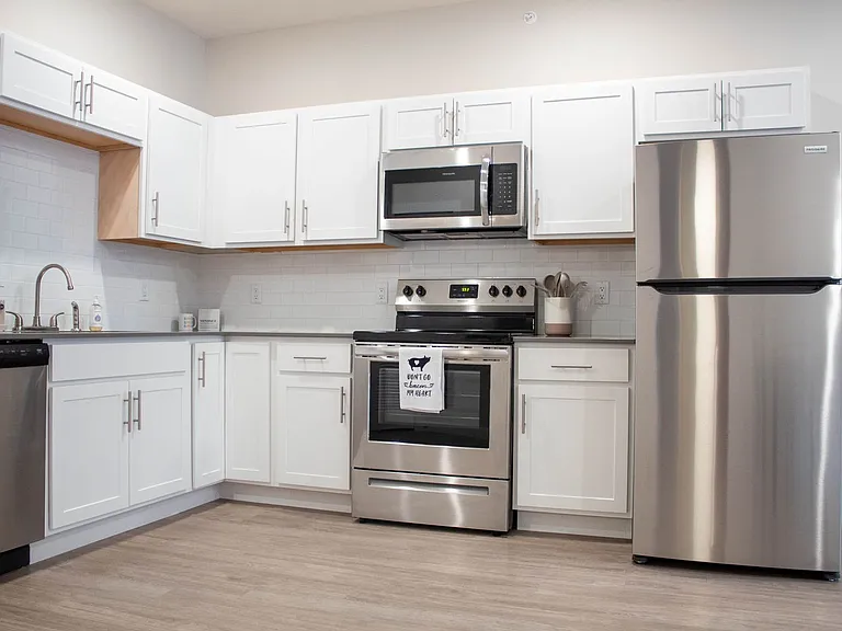 1009 W Stoughton St — Photo 51