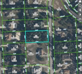 7083 Owl Rd, Weeki Wachee, FL, 34613