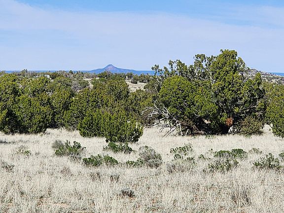 5th image of 8656 W Cloud Cover Way