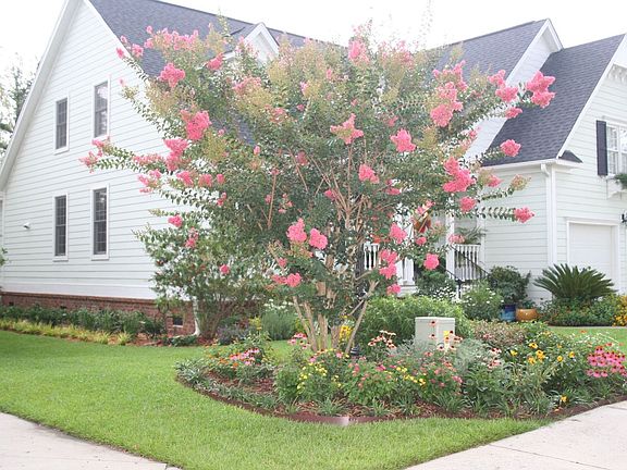 An early summer explosion of color