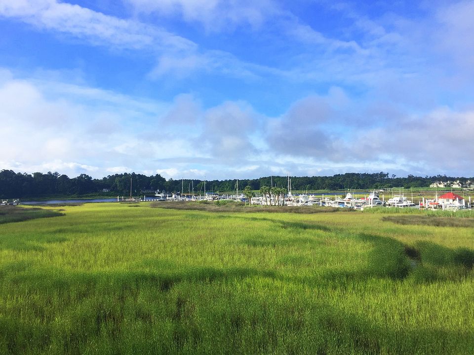 Marsh and ICW, Summer 