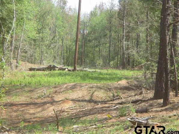 0 County Road 4105, Selman City, TX 75689