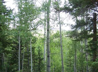 91 S Spring Cir, Brian Head, UT 84719