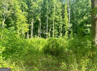 0 Oak Ridge Dr, Sharpsburg, GA 30277