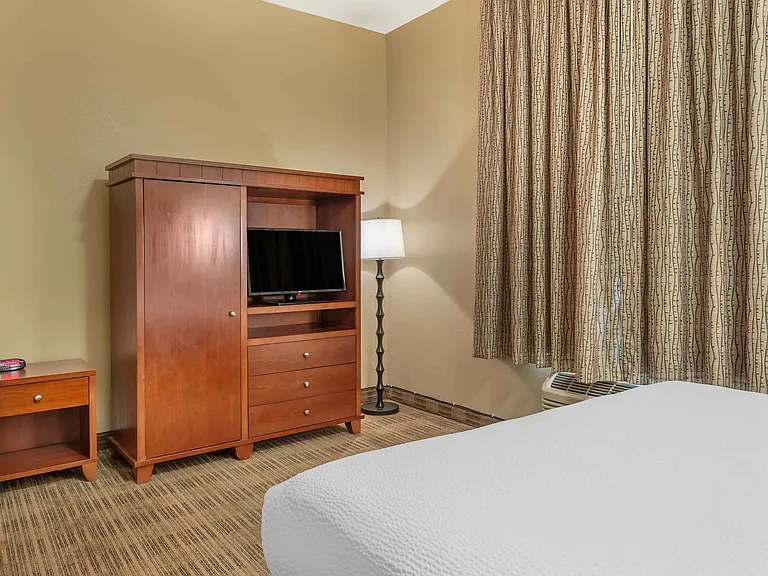 1 Bedroom Suite - 1 King Bed