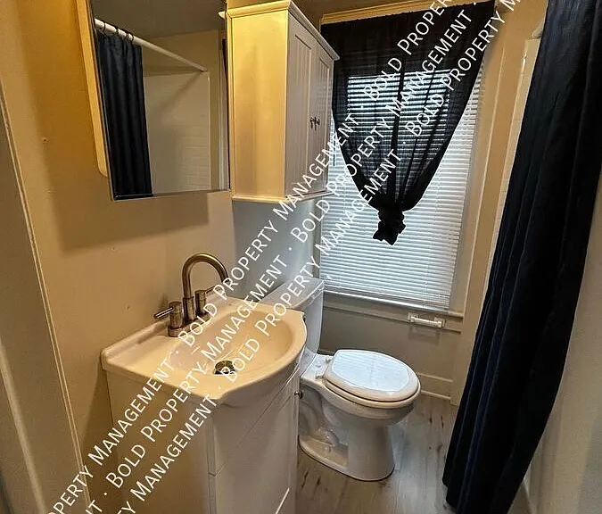 524 Spruce St #4 — Photo 5