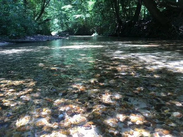 Givens Mullins Rd, Monticello, MS 39654