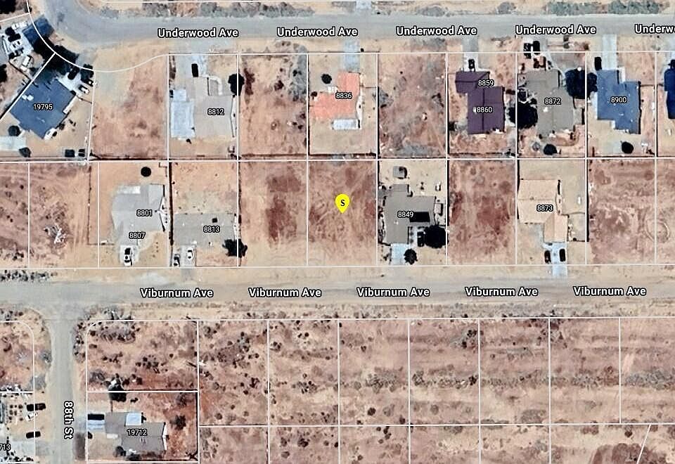 1st image of Viburnum Ave