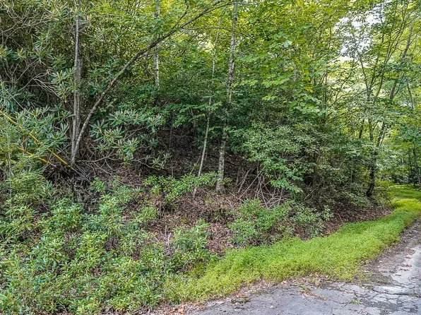 101 Chipmunk Lane, Beech Mountain, NC 28604