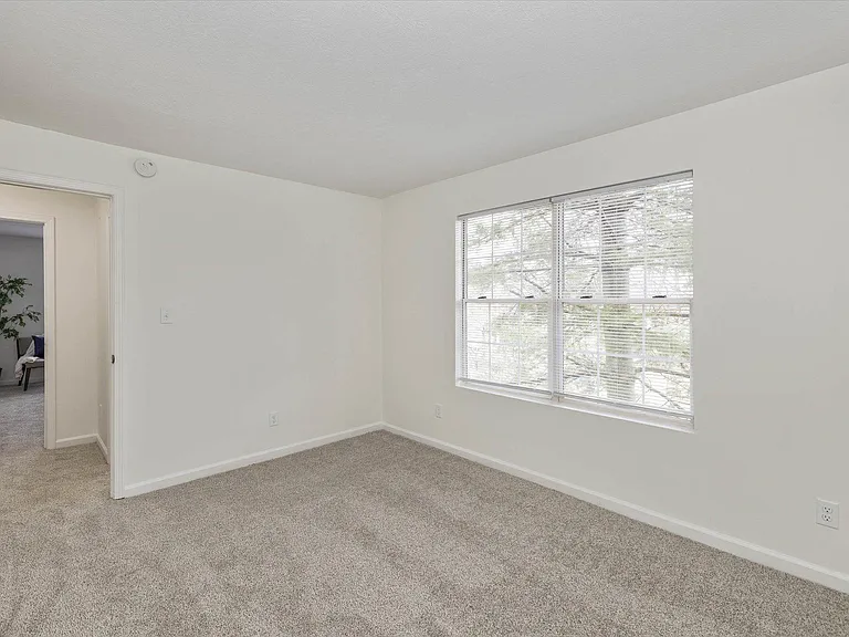 1116 W Lincoln St — Photo 16
