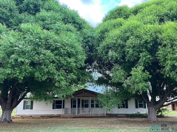 252 Fremont Dr, Fort Sumner, NM 88119