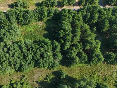 On Aspen Ln, Park Falls, WI, 54552