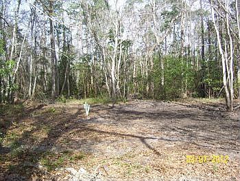 Photo of Mobile Home Lot