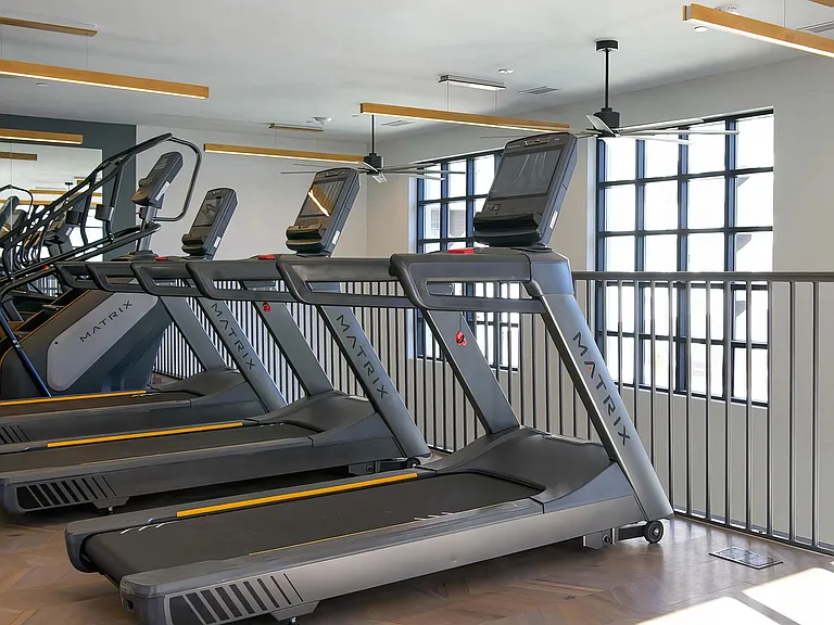 Multiple treadmills and elliptical with stair stepper
