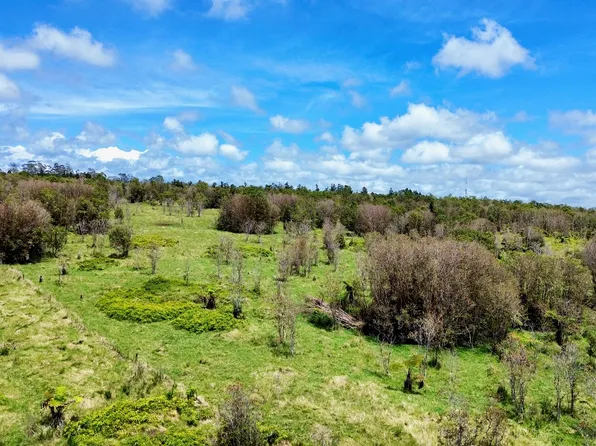 18-4292 Luna Ikena Rd Lot 336B, Mountain View, HI 96771