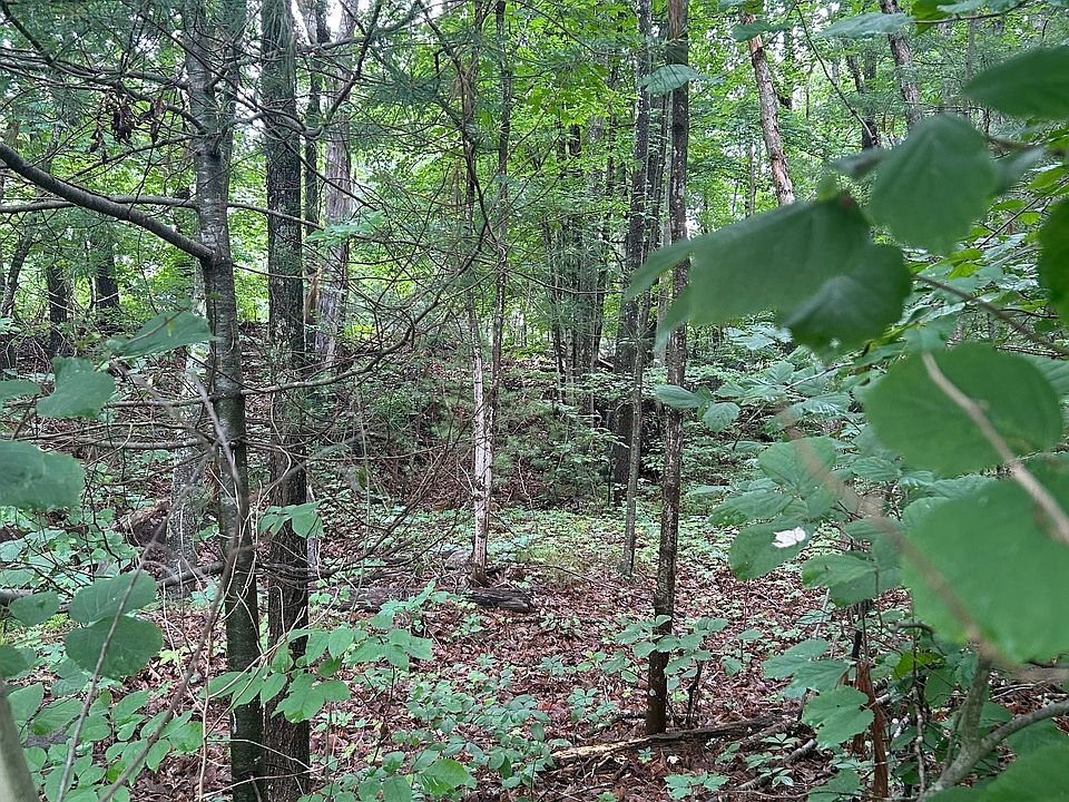 2nd image of Chapman Road
