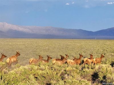 10 N 2 Lane, Mosca, CO, 81146