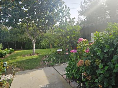 647 Avenida Sevilla Unit B, Laguna Woods, CA, 92637