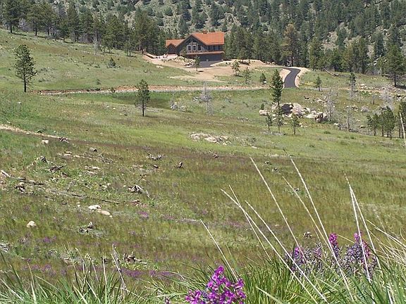 3rd image of 15331 Quandary Peak Trl