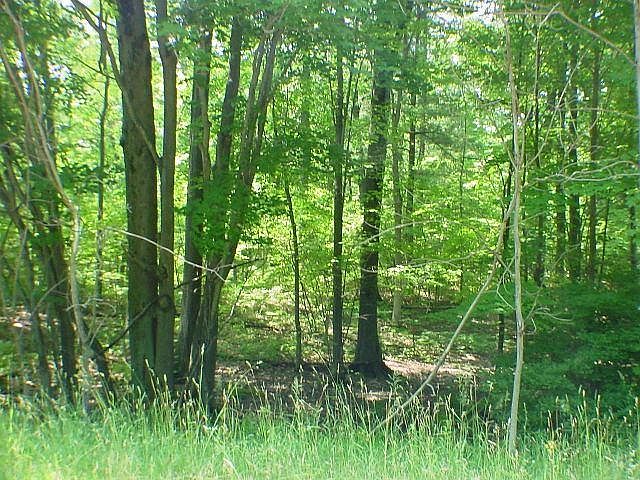 2nd image of N Peterson Rd