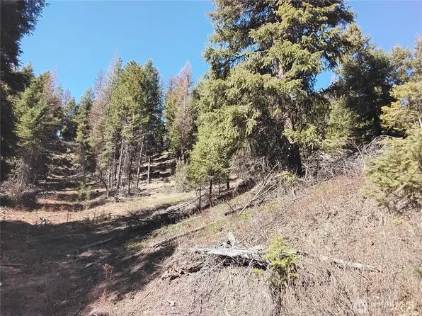 0 Cougar Loop Drive, Tonasket, WA 98855