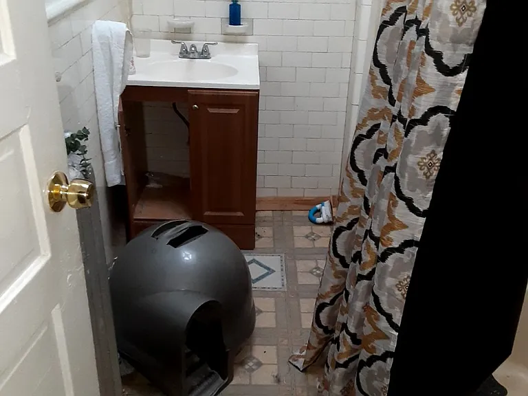 1527 Homestead St #2 — Photo 6