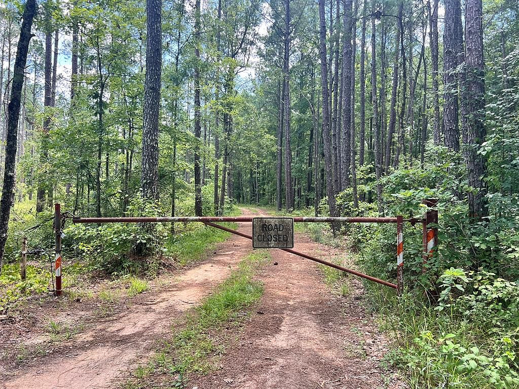 (Undisclosed Address), Louin, MS 39338 | MLS #35001 | Zillow