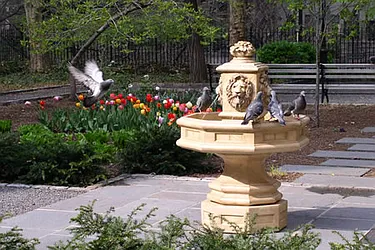 Rented by Steven Corcoran Real Estate