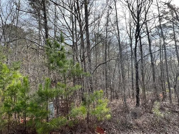 100/102 Shoals Poin, Eatonton, GA 31024