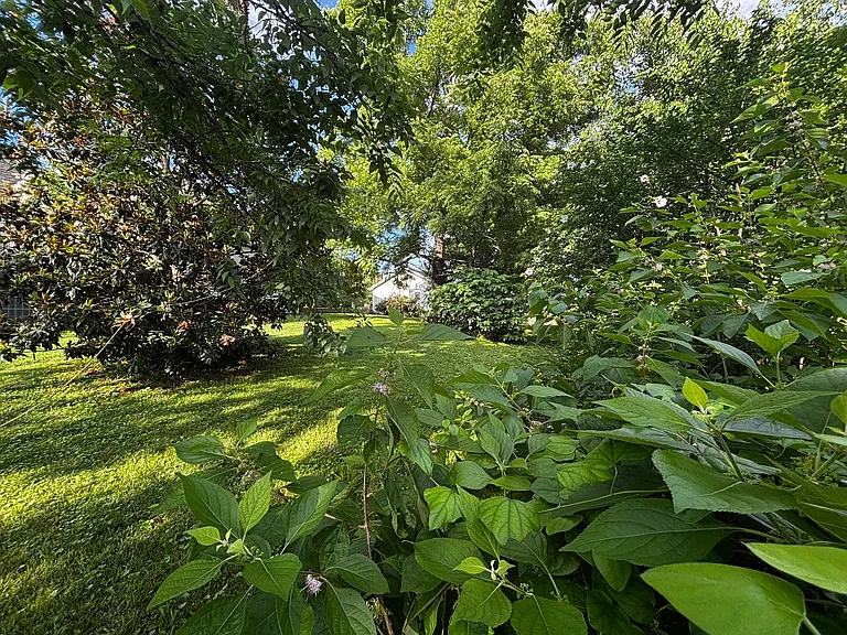 View of back yard from front of property.