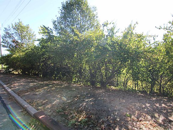 4th image of 1103 Cecelia Ave