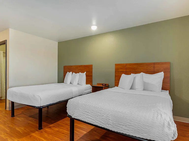 Studio Suite - 2 Full Beds