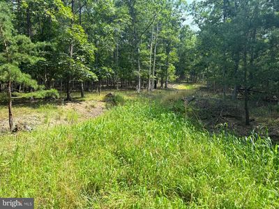 6 Beaver Run Rd, Burlington, WV, 26710