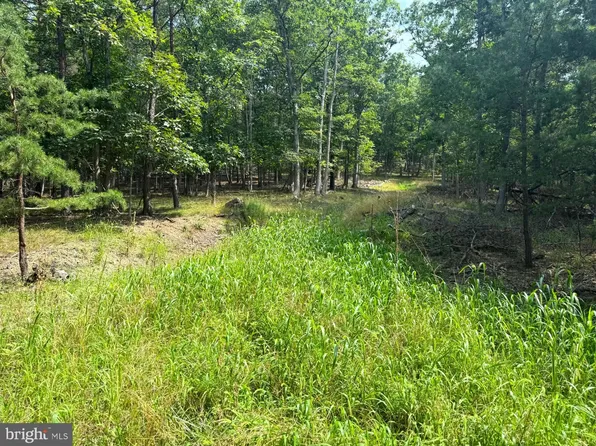 6 Beaver Run Rd, Burlington, WV 26710