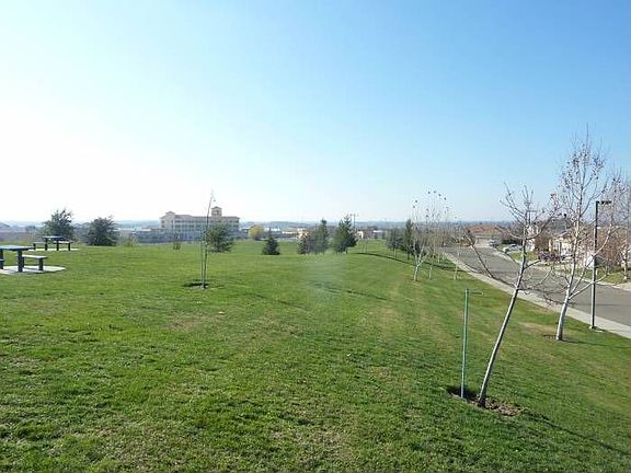 View From Park - Whole