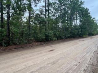 2 Blue Jay Rd TRACT 2, Guyton, GA 31312