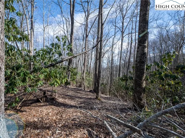 TBD Little Laurel Road, Boone, NC 28607