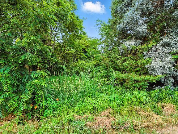 4th image of LOT 61 Summer Dr