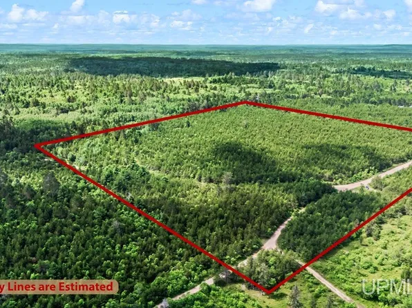 Bryan Creek Rd, Ishpeming, MI 49849