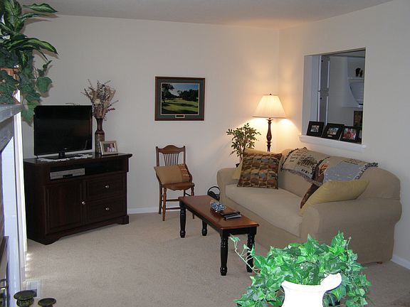 Living Room Area